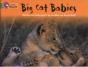 Big Cat Babies - Preview