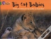 Capa do artigo Big Cat Babies
