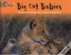 Capa do artigo Big Cat Babies