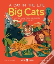 Capa do artigo Big Cats (A Day In The Life)