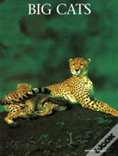 Big Cats