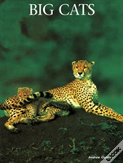Capa do artigo Big Cats