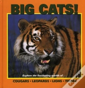 Capa do artigo Big Cats