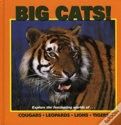 Capa do artigo Big Cats