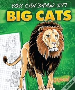 Capa do artigo Big Cats