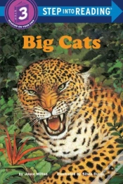 Capa do artigo Big Cats