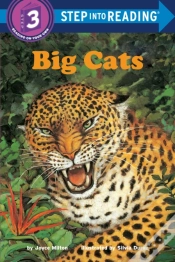 Capa do artigo Big Cats