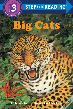Capa do artigo Big Cats