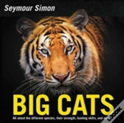 Capa do artigo Big Cats