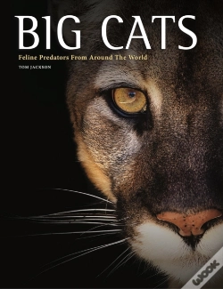 Capa do artigo Big Cats