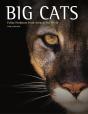 Big Cats - Preview