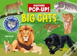 Capa do artigo Big Cats