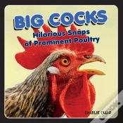 Capa do artigo Big Cocks