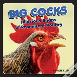 Capa do artigo Big Cocks