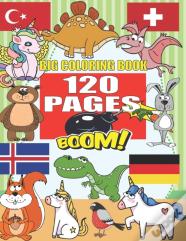 Big Coloring Book