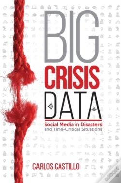 Capa do artigo Big Crisis Data