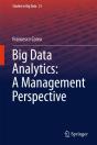 Big Data Analytics: A Management Perspective - Preview