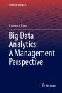 Big Data Analytics: A Management Perspective - Preview