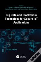 Big Data And Blockchain Technology For Secure Iot Applications