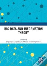 Big Data And Information Theory