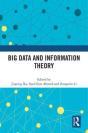 Big Data And Information Theory - Preview