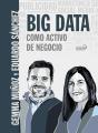 Big Data Como Activo De Negocio - Preview