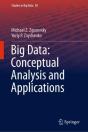 Big Data: Conceptual Analysis And Applications - Preview