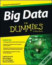 Capa do artigo Big Data For Dummies