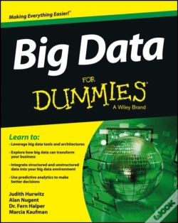 Capa do artigo Big Data For Dummies