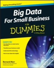 Capa do artigo Big Data For Small Business For Dummies