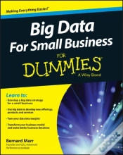 Capa do artigo Big Data For Small Business For Dummies