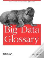 Big Data Glossary