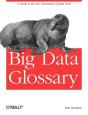 Big Data Glossary - Preview