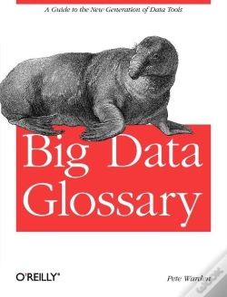Capa do artigo Big Data Glossary