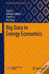 Big Data In Energy Economics