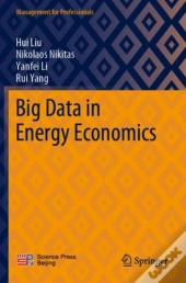 Big Data In Energy Economics