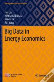 Capa do artigo Big Data In Energy Economics