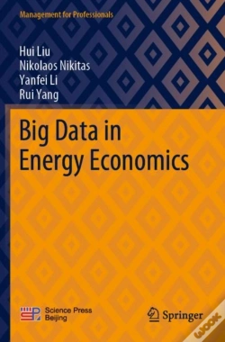Capa do artigo Big Data In Energy Economics