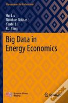 Big Data In Energy Economics