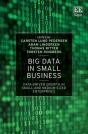 Big Data In Small Business - Preview