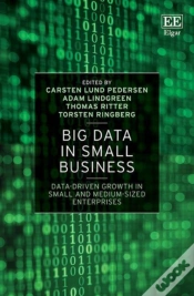 Capa do artigo Big Data In Small Business