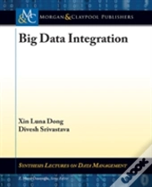 Big Data Integration