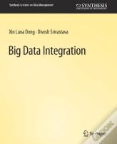 Big Data Integration
