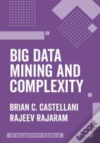 Big Data Mining And Complexity