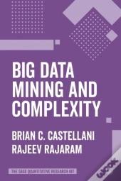 Big Data Mining And Complexity