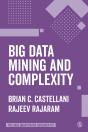 Big Data Mining And Complexity - Preview