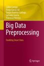 Big Data Preprocessing - Preview