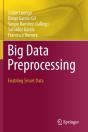 Big Data Preprocessing - Preview