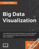 Big Data Visualization