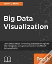 Capa do artigo Big Data Visualization